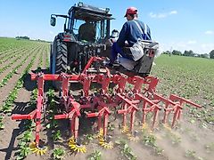 POLNIVA Hackgerät 6-reihig / Bineuse à 6 rangées