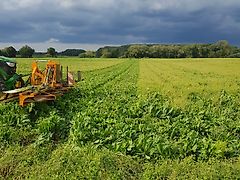 Bionalan Selac S 6M60