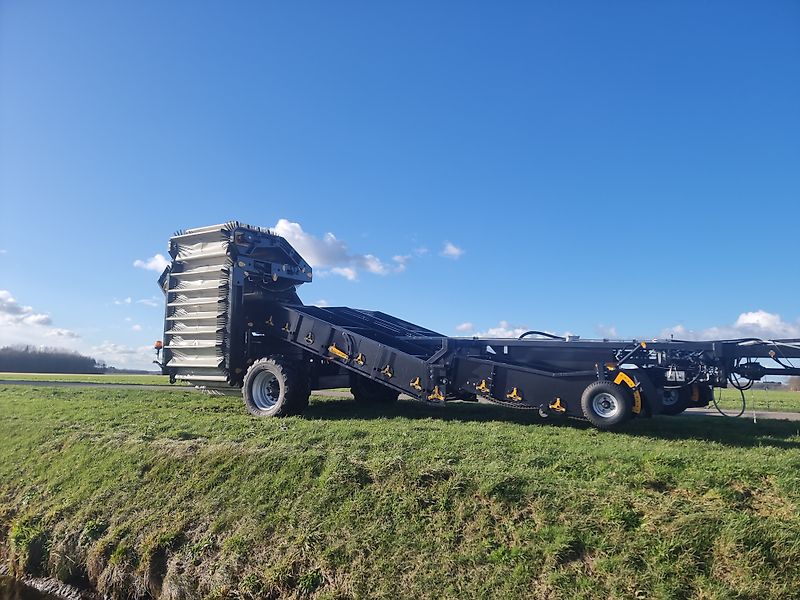 Fectus Fectus CD145.15