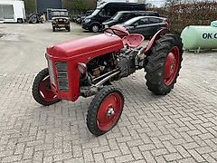 Massey Ferguson Tef 20