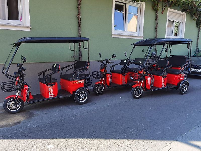 Seniorenmobil 2 Sitzer mit Ladeaum 25 km /h NEU