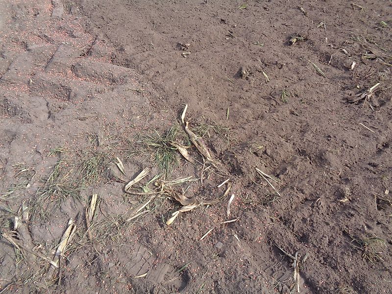 Bomford Bomford DYNA DRIVE 300cm Arbeitsbreite mit Pakerwalze sowie als Option Pneumatikstreuer zur Einsaat von zb. Zwischenfrüchten