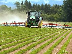 Hatzenbichler Original-Striegel 9m