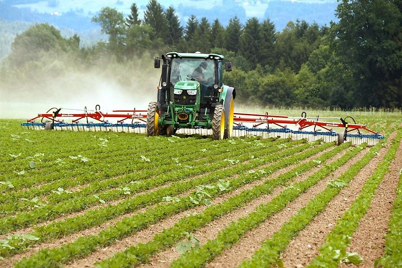 Hatzenbichler Original-Striegel 7m