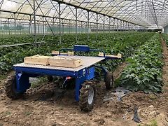 Engels Multispin 24V zelfrijdend