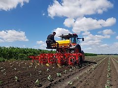 POLNIVA Hackgerät 4-reihig / Bineuse à 4 rangées