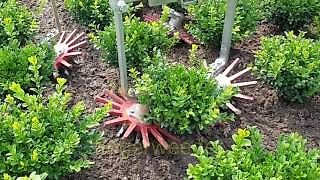 HAK HAVELAAR L - Serie L 101 F - L 235 F Univeral ( im Förderprogramm 40 % enthalten )