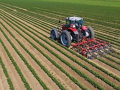 HAK HAVELAAR; EX 75 ; für 4 Gemüse-, Kartoffeldaemme , Dammhackmaschine , 4 reihig , VERSTELLBAR ( mit Zusatzoptionen)