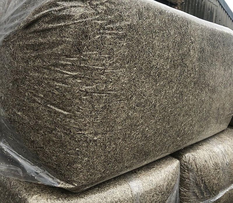 Leinstroh, Flachs, Einstreu für Boxen, Anhänger usw