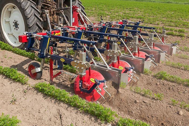 HAK HAVELAAR XHR Serie ; Zwiebel ; Karotten ( auch für Zwillingsreihen)