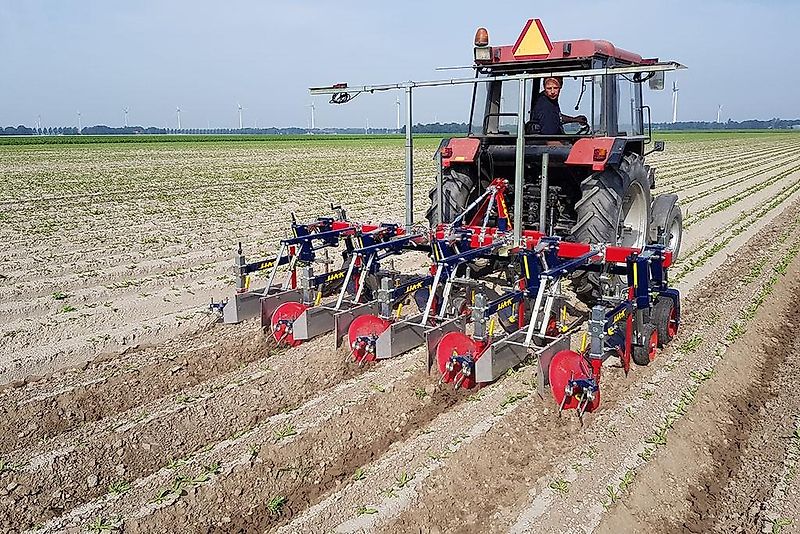 HAK HAVELAAR XHR Serie ; Zwiebel ; Karotten ( auch für Zwillingsreihen)