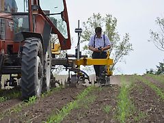 BUSA ; GARFORD; STEKETEE; MONOSEM; HATZENBICHLER; EINBÖCK; Rotor Hackgeraet ; Reihenkultivator; 4 -12 Reihen , mit Kamara